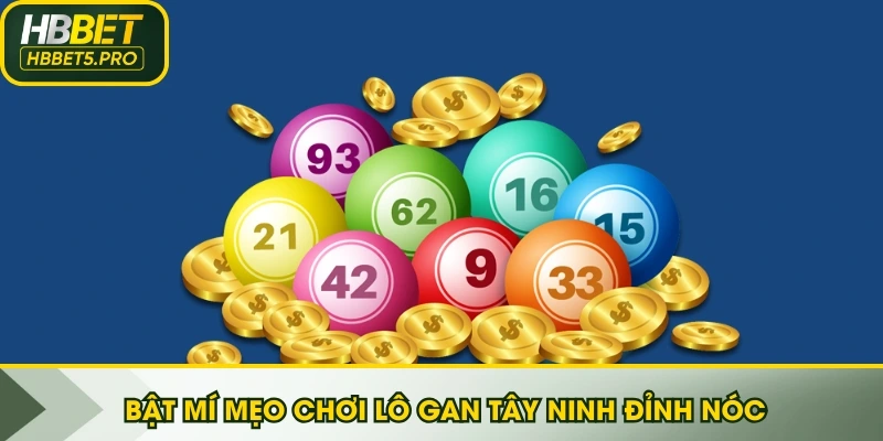 Bật mí mẹo chơi lô gan Tây Ninh đỉnh nóc 