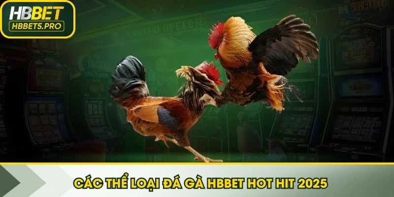 Các thể loại đá gà HBBET hot hit 2025