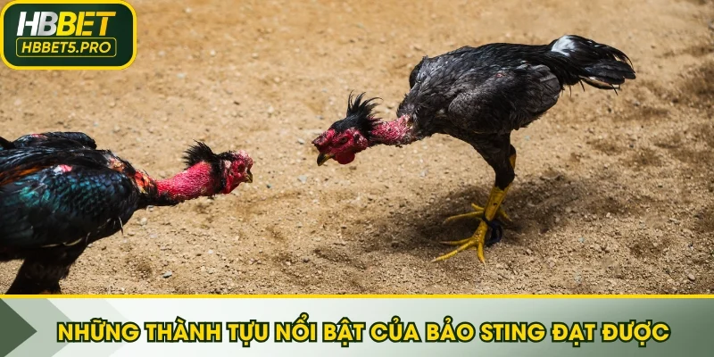 Những thành tựu nổi bật của Bảo Sting đạt được