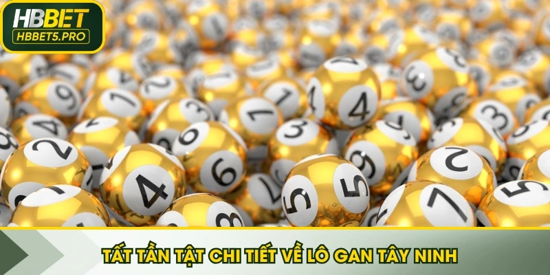 Tất tần tật chi tiết về lô gan Tây Ninh