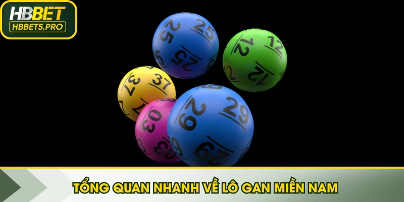 Tổng quan nhanh về lô gan miền nam